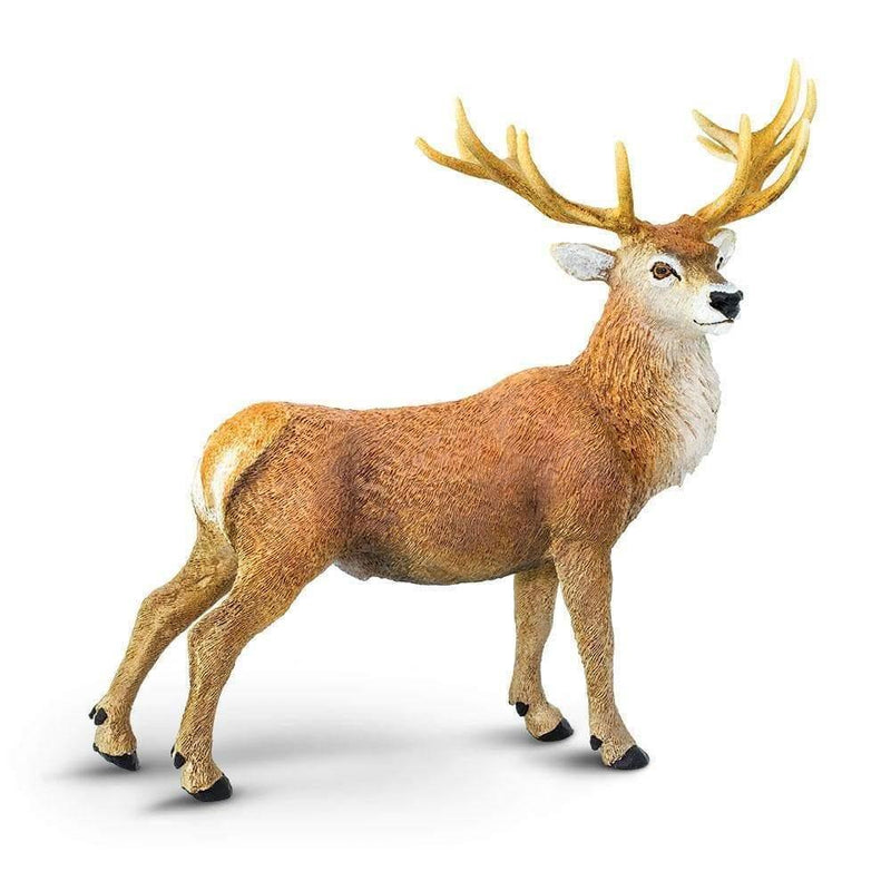 Safari Ltd. Red Deer Stag - Pisces Pet Emporium
