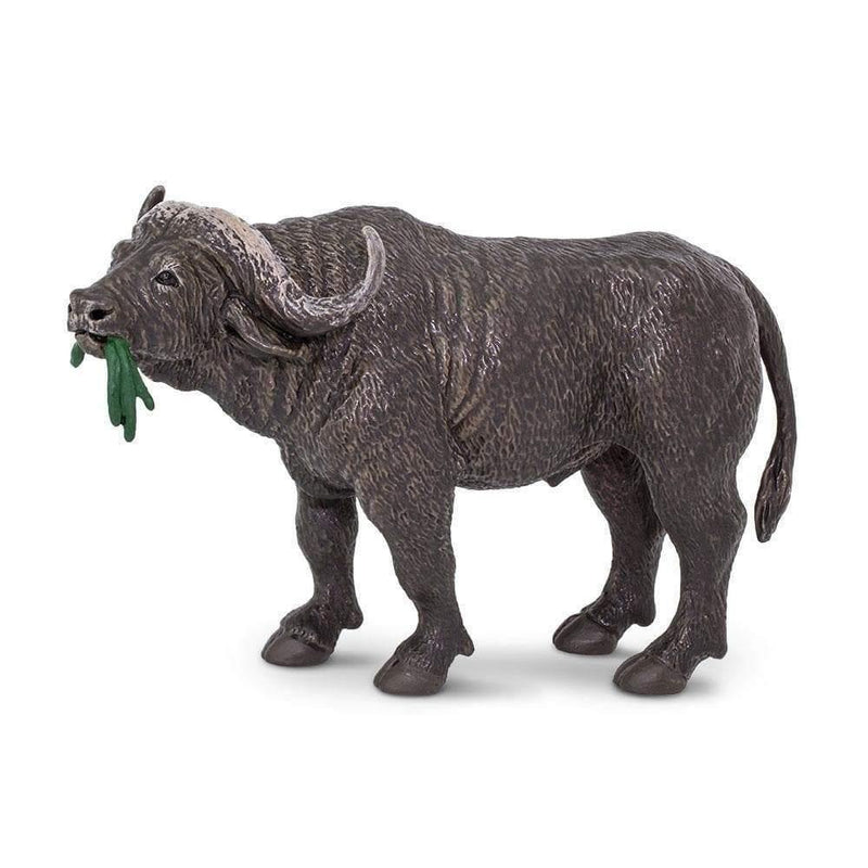 Safari Ltd. Cape Buffalo - Pisces Pet Emporium