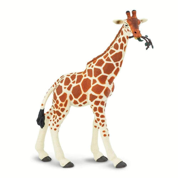 Safari Ltd. Reticulated Giraffe - Pisces Pet Emporium