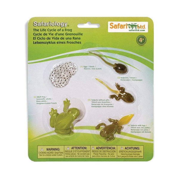 Safari Ltd. Life Cycle of a Frog - Pisces Pet Emporium