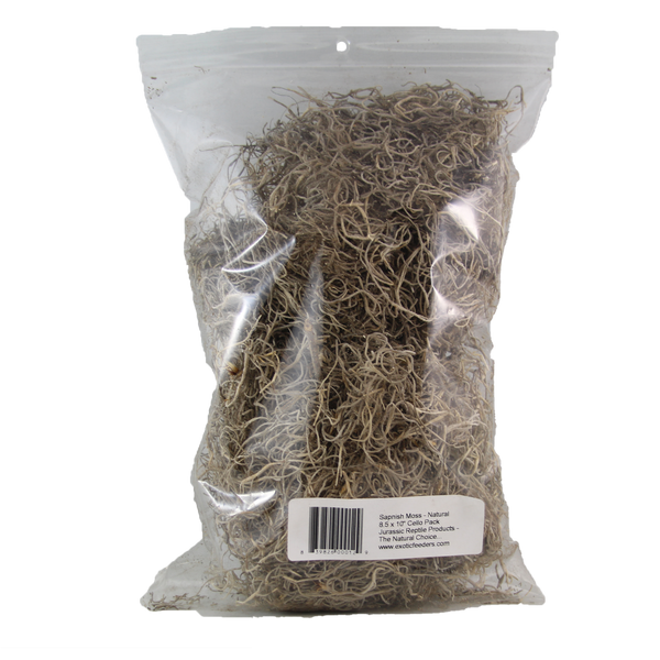Jurassic Reptile Products - Spanish Moss Bag - Pisces Pet Emporium