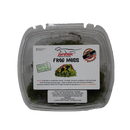 Jurassic Reptile Products - Frog/Sphagnum Moss Container - Pisces Pet Emporium