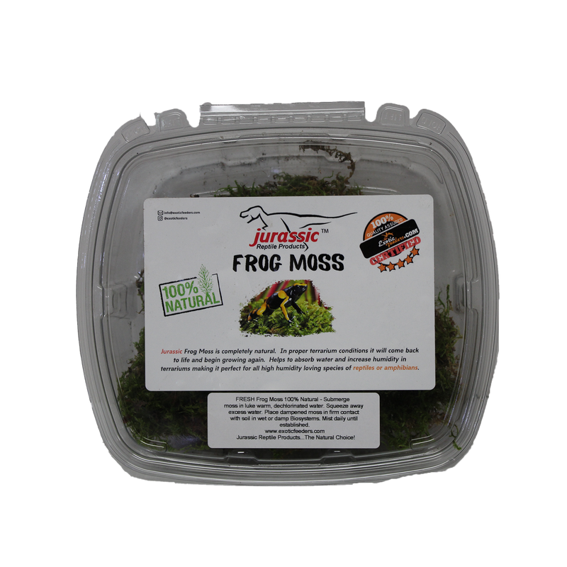 Jurassic Reptile Products Frog Sphagnum Moss Container