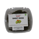 Jurassic Reptile Products - Sheet Moss Container - Pisces Pet Emporium