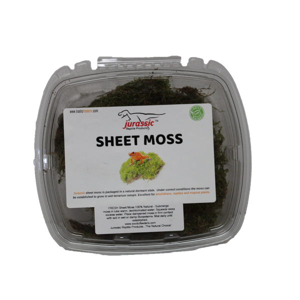 Jurassic Reptile Products - Sheet Moss Container - Pisces Pet Emporium