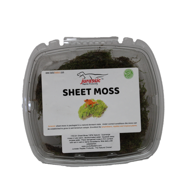 Jurassic Reptile Products - Sheet Moss Container - Pisces Pet Emporium