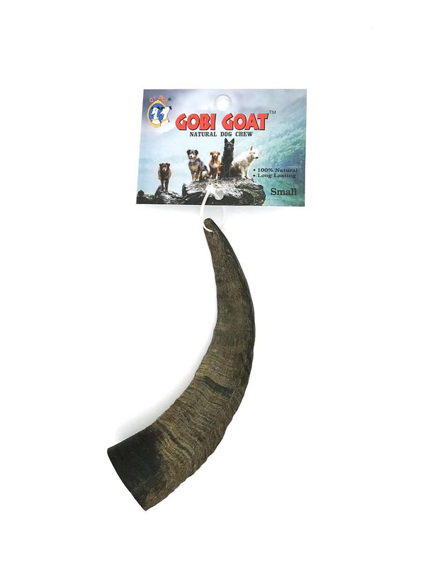 Free-Range Gobi Desert Goat Horn