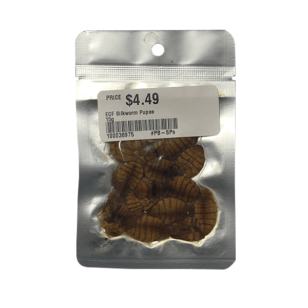 Eco Fresh Silkworm Pupae - 15 g - Pisces Pet Emporium
