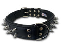 Angel Amsterdam Collar - Black - Pisces Pet Emporium