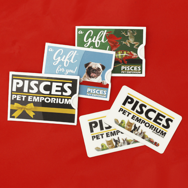 In-Store Gift Card - In-Store Use Only - Pisces Pet Emporium