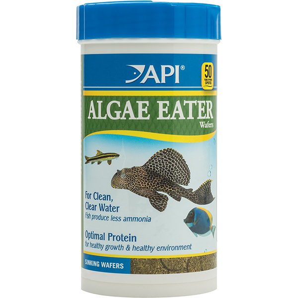 API Algae Eater Wafers - Pisces Pet Emporium