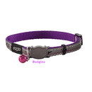 Rogz NightCat Breakaway Buckle Collar - Pisces Pet Emporium