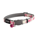 Rogz GlowCat Breakaway Buckle Collar - Pisces Pet Emporium