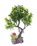 Aqua-Fit Juniper Bonsai - Pisces Pet Emporium