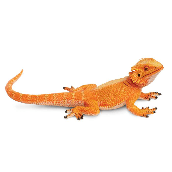 Safari Ltd. Bearded Dragon - Pisces Pet Emporium