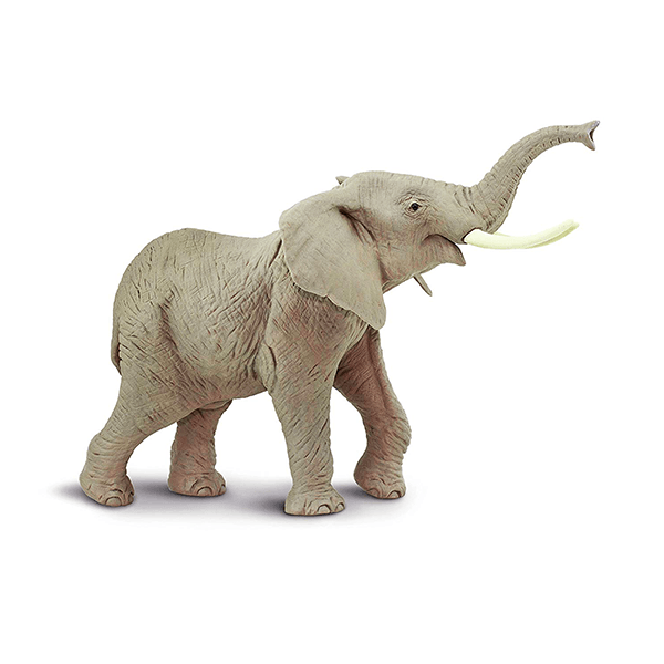 Safari Ltd. African Elephant - Pisces Pet Emporium