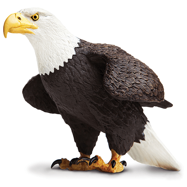 Safari Ltd. Bald Eagle - Pisces Pet Emporium