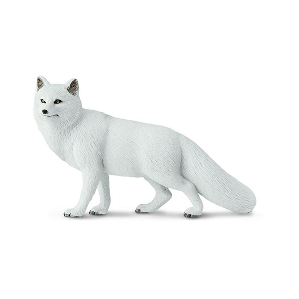 Safari Ltd. Arctic Fox - Pisces Pet Emporium