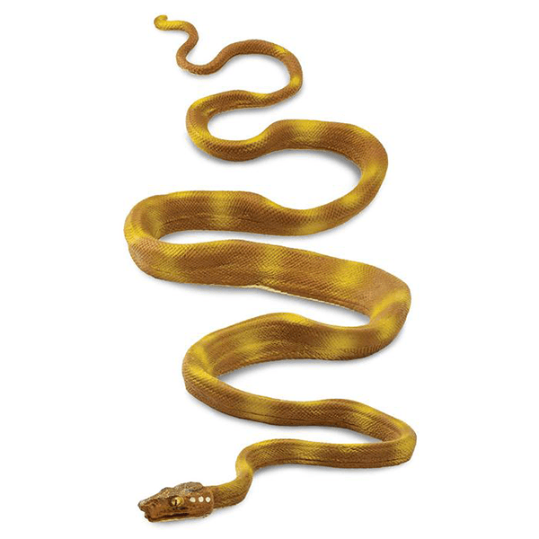 Safari Ltd. Amazon Tree Boa - Pisces Pet Emporium