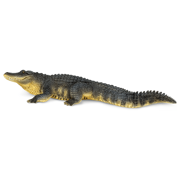 Safari Ltd. Alligator - Pisces Pet Emporium