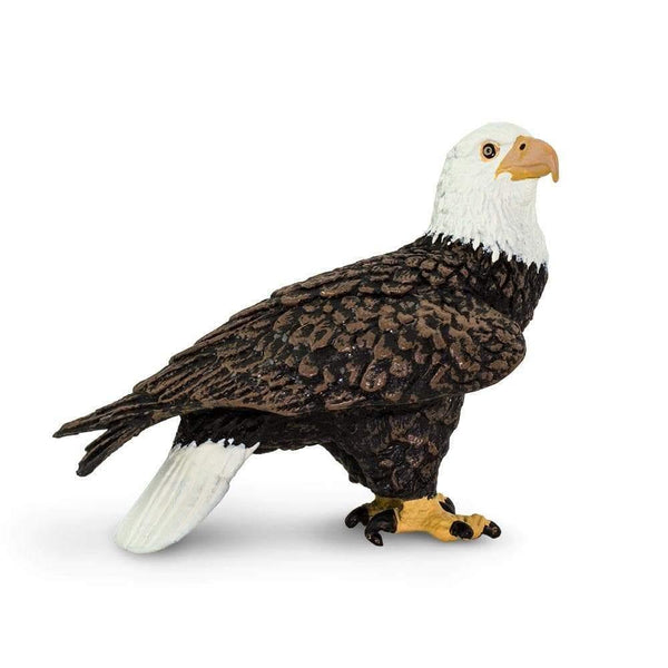Safari Ltd. Bald Eagle Toy - Pisces Pet Emporium
