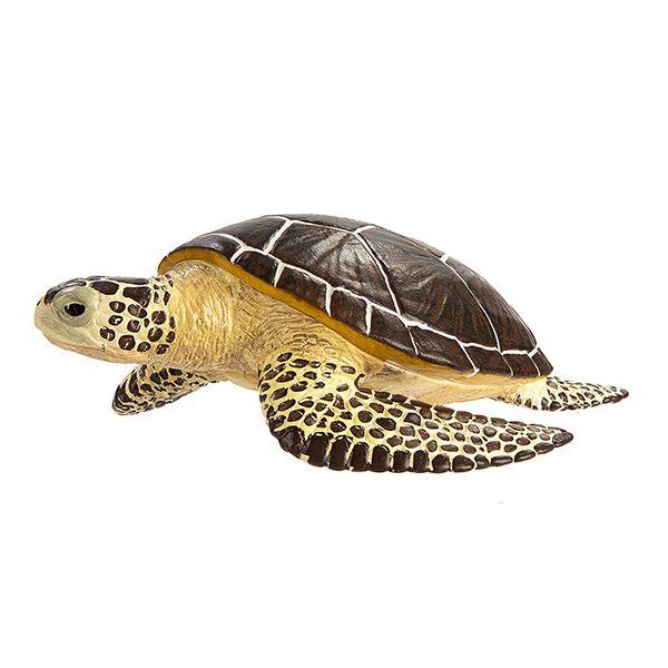 Safari Ltd. Sea Turtle - Pisces Pet Emporium