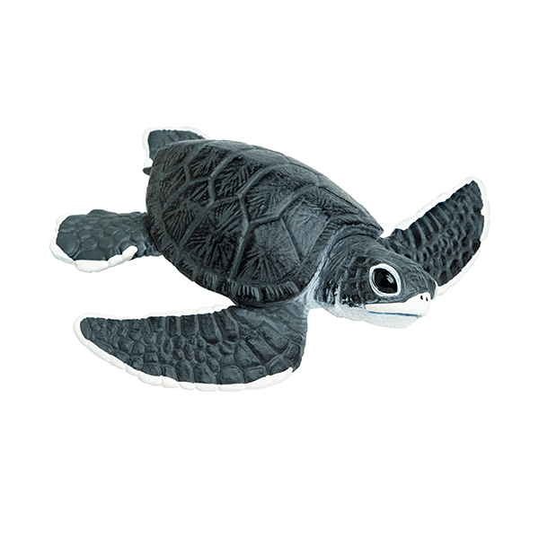 Safari Ltd. Sea Turtle Baby - Pisces Pet Emporium