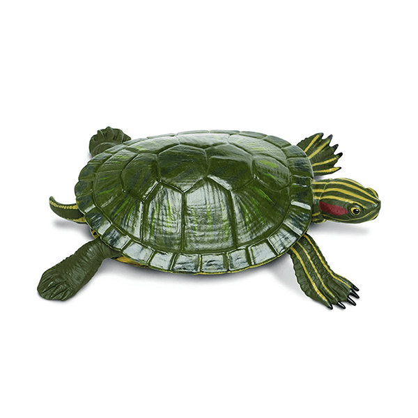 Safari Ltd. Red-Eared Slider Turtle - Pisces Pet Emporium