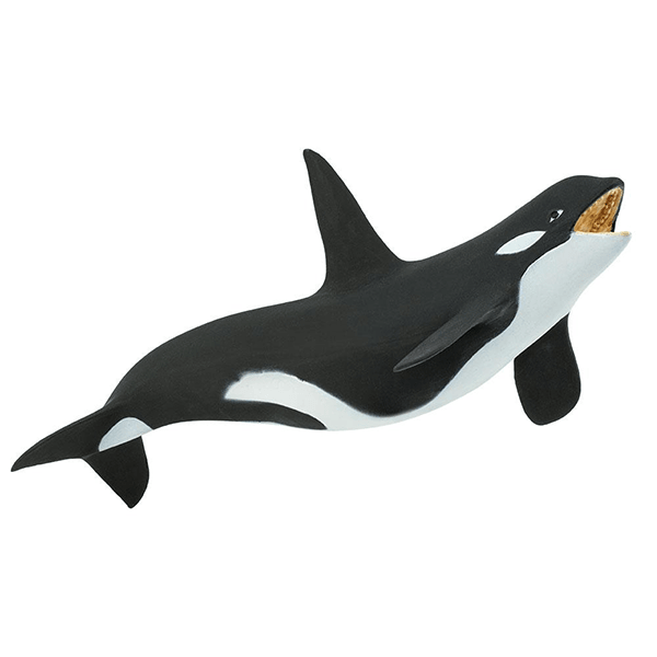 Safari Ltd. Killer Whale - Pisces Pet Emporium