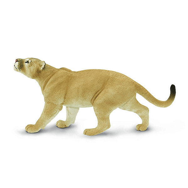 Safari Ltd. Puma Concolor - Pisces Pet Emporium
