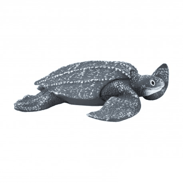 Safari Ltd. Leatherback Sea Turtle - Pisces Pet Emporium