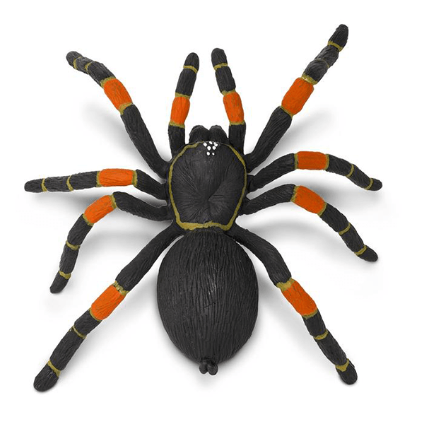 Safari Ltd. Orange-Kneed Tarantula - Pisces Pet Emporium