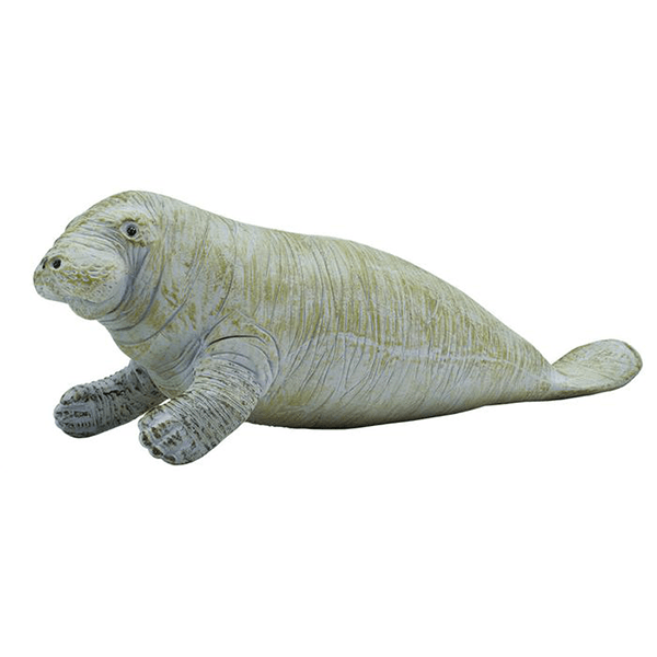 Safari Ltd. Manatee - Pisces Pet Emporium