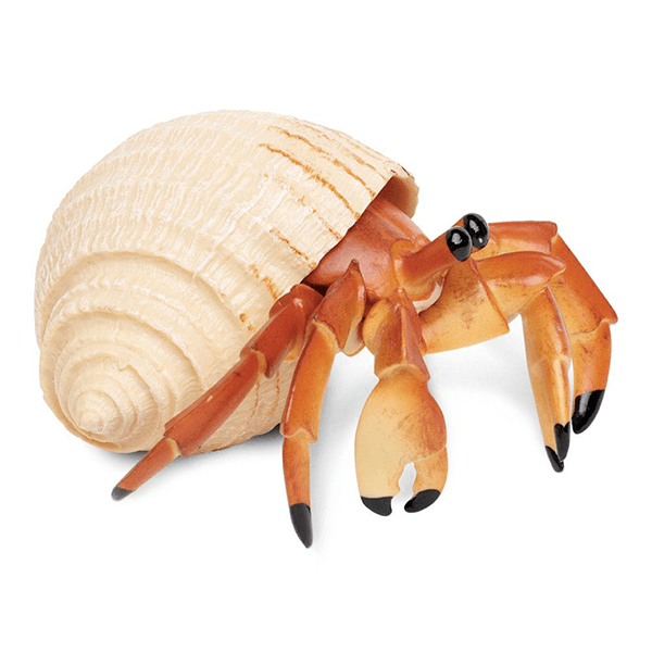 Safari Ltd. Hermit Crab - Pisces Pet Emporium