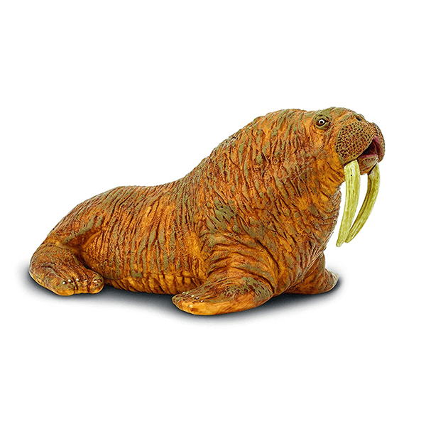 Safari Ltd. Walrus - Pisces Pet Emporium