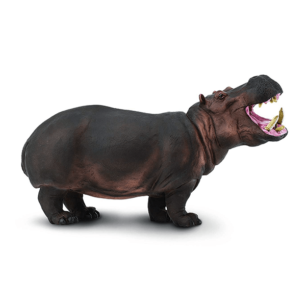 Safari Ltd. Hippopotamus - Pisces Pet Emporium