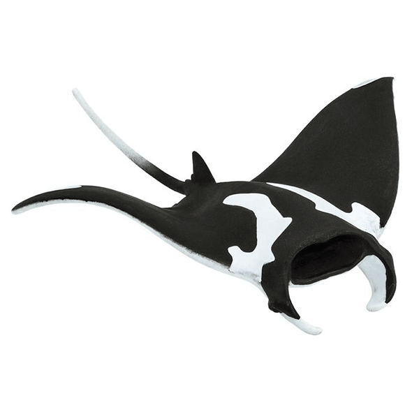 Safari Ltd. Manta Ray - Pisces Pet Emporium