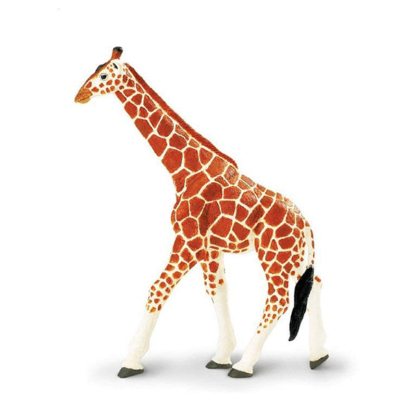 Safari Ltd. Reticulated Giraffe - Pisces Pet Emporium