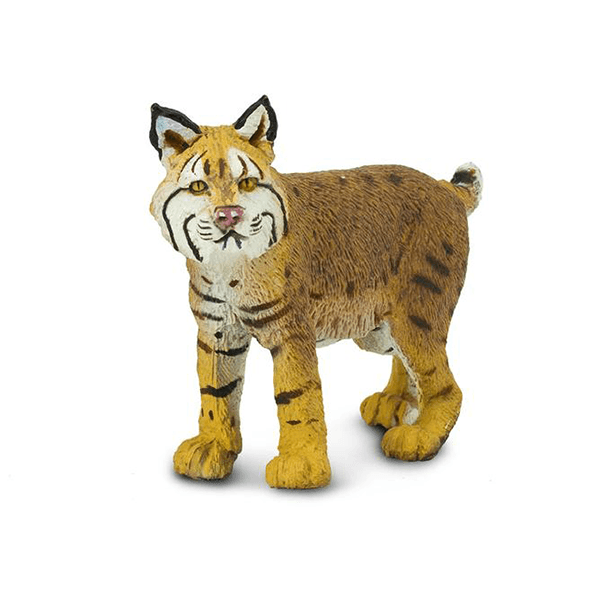 Safari Ltd. Bobcat - Pisces Pet Emporium