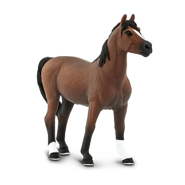 Safari Ltd. Morgan Stallion - Pisces Pet Emporium