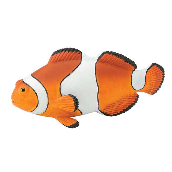 Safari Ltd. Clown Anemonefish - Pisces Pet Emporium