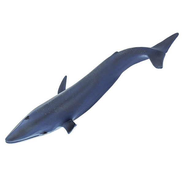 Safari Ltd. Blue Whale - Pisces Pet Emporium