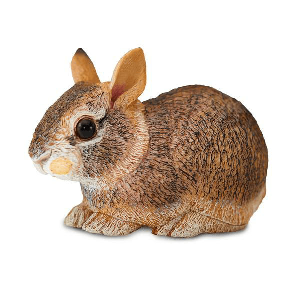Safari Ltd. Eastern Cottontail Rabbit Baby - Pisces Pet Emporium