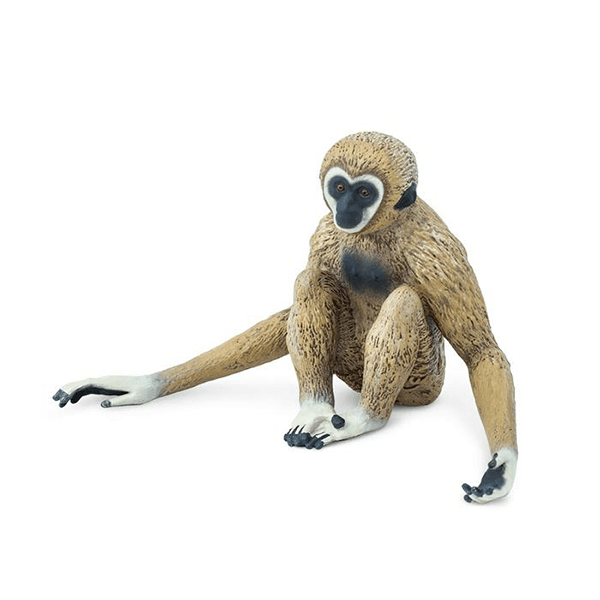 Safari Ltd. Gibbon - Pisces Pet Emporium