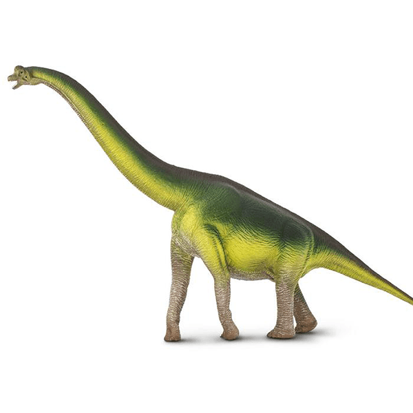 Safari Ltd. Brachiosaurus - Pisces Pet Emporium