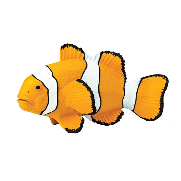 Safari Ltd. Clown Anemonefish - Pisces Pet Emporium