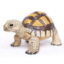 Safari Ltd. Tortoise Toy | Pisces