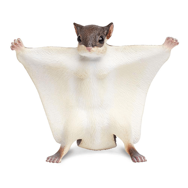 Safari Ltd. Flying Squirrel - Pisces Pet Emporium