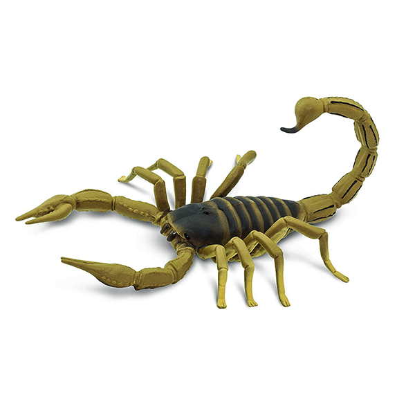 Safari Ltd. Scorpion - Pisces Pet Emporium