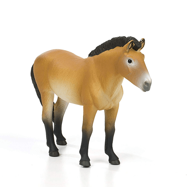 Safari Ltd. Przewalski's Horse - Pisces Pet Emporium